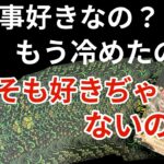 【◯番さん❣️信じられない超神回😳❤️‍🔥】あの人は私の事が好きですか？