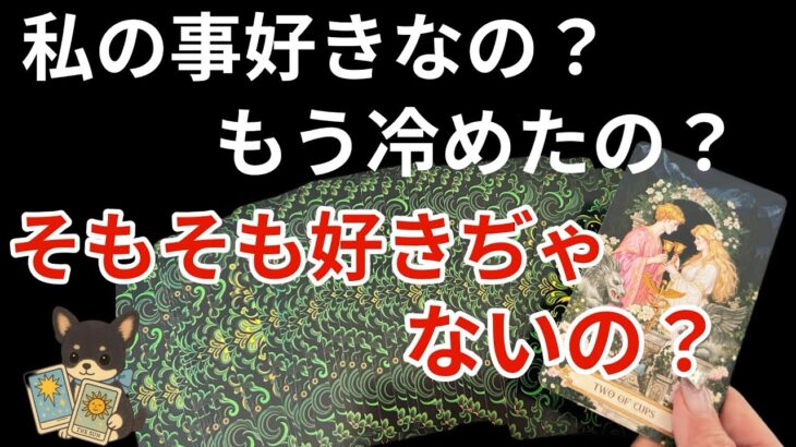 【◯番さん❣️信じられない超神回😳❤️‍🔥】あの人は私の事が好きですか？