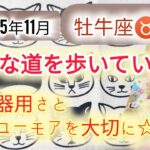おうし座♉2025年11月運勢「プレッシャーを抱えながらも豊かな道を進んでいます。人との価値観の違いを拒絶しないで。あなたは臨機応変に対応できる☆」タロットカード占い