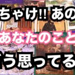 【あの人のリアルな声】ぶっちゃけ‼︎あなたのことをどう思っている？恋愛タロット占い❤️｜ルノルマン｜オラクルカード細密リーディング