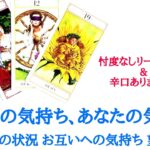 🌹恋愛タロット占い🌹やや辛口選択肢ありますご注意下さい‼️あの人のあなたへの気持ち、あなたのあの人への気持ち それぞれの状況 お互いへの気持ち 望んでいること アドバイスetc..