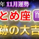 【乙女座♍️11月運勢】おとめ座、奇跡の大吉兆！全て報われる収穫期到来💰【金運】