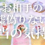 そうだったのか😳【恋愛❤️】お相手の嘘偽りない本当の気持ち【タロット🔮オラクルカード】片思い・復縁・音信不通・冷却期間・曖昧な関係・複雑恋愛・あの人の気持ち・本音・あなたへのメッセージ・リーディング