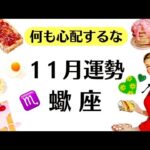 蠍座は大革命起こるぞ～❗️１１月から次々叶う、辛いことが終わっていく。　2025年11月全体運勢♏仕事恋愛不安解消評価や印象【個人鑑定級タロットヒーリング】