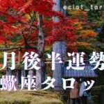 【さそり座さん】宇宙から🪐あなたはこんなもんじゃない！もっともっと上に行けるよ！💪と言われています