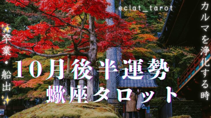 【さそり座さん】宇宙から🪐あなたはこんなもんじゃない！もっともっと上に行けるよ！💪と言われています
