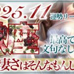 【さそり座さん👑】11月あなたに起こること🔮完全に「始まり」の時‼️光が差し込む💫手にするものがある✨超強力でポジティブなエネルギーがあなたを包み込む👏✨【タロット・ルノルマン・オラクルカード占い】