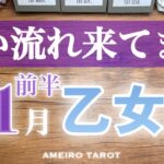 乙女座♍️11月前半✨公私共に良い流れ来てます‼️乙女座さん優勢で物事が進みそう🍀✨