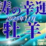 11月の運勢🧚おひつじ座　心が震えるチャンス到来…！11月、選ぶ道が未来を変える！(お金・仕事・人間関係)