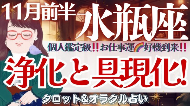 【水瓶座】個人鑑定級‼️お仕事運!好機到来🌈全体運は見逃し注意です👀❤️※音声不具合あり🙏【仕事運/対人運/家庭運/恋愛運/全体運】11月前半 タロット占い