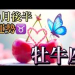 【牡牛座】10月後半の運勢❤️大大吉！！こりゃ、すごい😳大予祝🎊㊗️🥂あれよあれよと大成功🌈マンスリー　2025年　タロット占い
