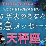 【天秤座♎️】心が震える胸熱展開🔥年末どうなってる？未来のあなたがどうしても伝えたいこと💌タロット＆オラクル／Tarot&Oracle card reading／Libra