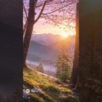 03「丙寅」六十干支絵10秒動画 #算命学 #陰陽五行 #干支 #占い