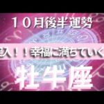 【牡牛座】♉️１０月後半運勢♉️頑張ってきましたね！！これから、どんどんよくなる！！