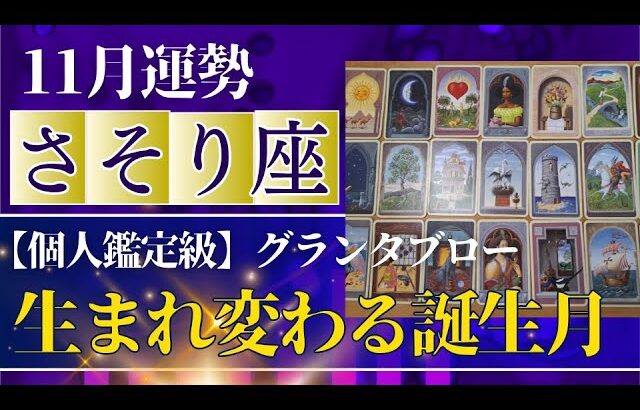 【蠍座♏️11月運勢】うわっすごい！個人鑑定級のグランタブローリーディング✨お誕生日シーズンのミラクルギフト！あなたの力はこんなもんじゃない！（仕事運　金運）タロット＆オラクル＆ルノルマンカード