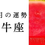11月｜牡牛座さんへ「安心して✨希望が広がっていくよ」TAROT & ORACLE Message