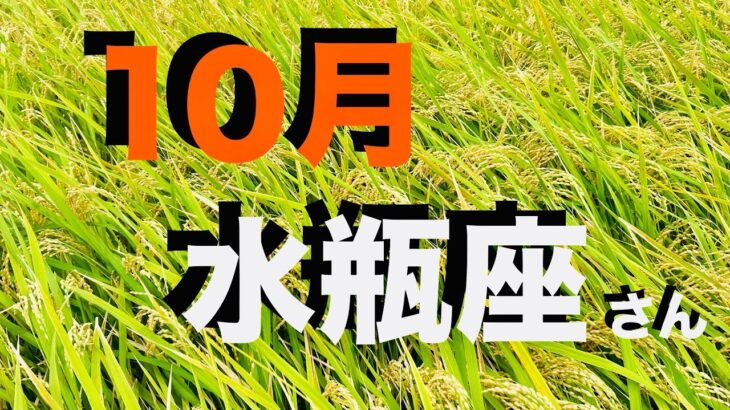 水瓶座2025年10月の運勢 みずがめ座さん この流れ 最高じゃないですか！軽やかなステップで さあ これから どうしていきたいですか？ 【12星座タロットリーディング スピリチュアルライフハック】