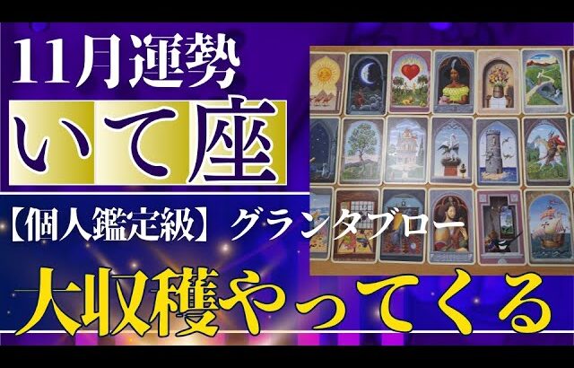【射手座♐️11月運勢】うわっすごい！個人鑑定級のグランタブローリーディング✨キタキタ～！！大収穫できる強運期！今までやってきたことが報われる！（仕事運　金運）タロット＆オラクル＆ルノルマンカード
