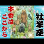 【10月後半♈️】牡羊座さんの運勢🦋本番はここから。よくぞ頑張りました！！