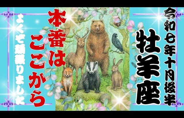 【10月後半♈️】牡羊座さんの運勢🦋本番はここから。よくぞ頑張りました！！