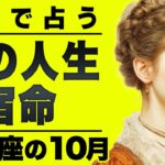 【速報】今射手座が知るべきこと。この11月はレベルが違います