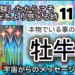 牡牛座11月♉️闇を経験したからこそ、人生の喜びや光を感じる時⭐️[宇宙からのメッセージ]