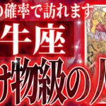 『10月24日までに見て！』100%見て✨牡牛座さん10月・11月に訪れる未来が最高です🌈【鳥肌級タロットリーディング】