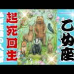 【10月後半♍️】乙女座さんの運勢🦋起死回生。私が主役の人生がスタートする!!!