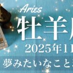 【おひつじ座】2025年11月♈️ おひつじ座さん…すごい嬉しいみたい！夢が現実に、こんなことある？連発する不思議、導き、来てる