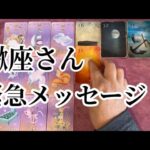 【最高の１ヶ月✨になる蠍座さんへ表示されています】⚡️ここから１ヶ月😱全体運⭐️仕事運⭐️恋愛運🩷人間関係🩷ガッツリ読み解きました🃏