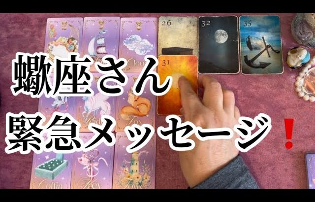 【最高の１ヶ月✨になる蠍座さんへ表示されています】⚡️ここから１ヶ月😱全体運⭐️仕事運⭐️恋愛運🩷人間関係🩷ガッツリ読み解きました🃏