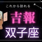 【双子座♊️】間もなく訪れる吉報🕊️星座占いにはおみくじはありませんのでご了承下さい🙇‍♀️