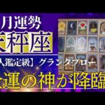 【天秤座♎️11月運勢】うわっすごい！個人鑑定級のグランタブローリーディング✨ありえないミラクルギフト受け取って！新しいステージに導かれる！（仕事運　金運）タロット＆オラクル＆ルノルマンカード