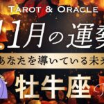 【牡牛座♉️11月運勢】涙の神回。これは予想できなかった！過去No.1の衝撃🫨✨豊かさのフルコースをどうぞ🫶 タロット＆オラクル／Tarot&Oracle card reading／Taurus