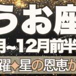 【うお座】11月全体～12月前半運勢　ドン！と大飛躍🚀✨星の恩恵が降り注ぐ…生まれてきた意味を知るとき💎✨自分にやさしく、もう十分頑張っています【魚座 １１月】【魚座 １２月】タロットリーディング