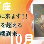 どうしても伝えたい。本気で覚醒してます。変わります、とても。【10月の運勢　山羊座】