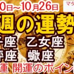 【12星座 今週の運勢 10月20日から10月26日】獅子座 乙女座 天秤座 蠍座｜恋愛 金運 幸運日 開運のポイント