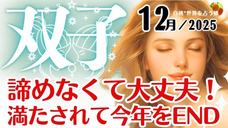 双子座♊️2025年12月☆諦めなくて大丈夫！満たされて今年をEND