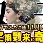 【15分でわかる！ふたご座11月後半】運命の輪が回る！ 過去のやり方を捨て、新しい自分へ【癒しの眠れる占い】