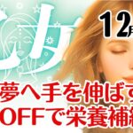 乙女座♍2025年12月☆違う夢へ手を伸ばす！完全OFFで栄養補給も大切に
