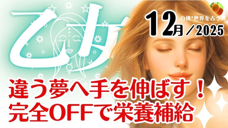 乙女座♍2025年12月☆違う夢へ手を伸ばす！完全OFFで栄養補給も大切に