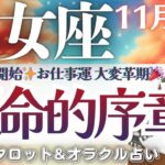 【乙女座】運命的序章‼️報われ実りを受け取れる😍✨これから来年へ向けて変わること👀♥️【仕事運/対人運/家庭運/恋愛運/全体運】11月後半 タロット占い