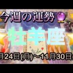 牡羊座♈️さん⭐️11月24日(月)〜11月30日(日)🔮宇宙にお任せでOK‼️自然と良い方向へ向かいます🌈