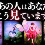 ➳❤︎ 恋愛タロット :: 今あの人はあなたをどう見てる？ 🙀💕あなたへのアドバイス付🌹 ルノルマン❤️LOVE【アフアの秘密タロット・オリジナル】🍀幸せを探して🦢::  (2025/11/25)