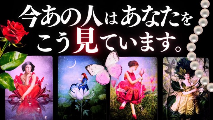 ➳❤︎ 恋愛タロット :: 今あの人はあなたをどう見てる？ 🙀💕あなたへのアドバイス付🌹 ルノルマン❤️LOVE【アフアの秘密タロット・オリジナル】🍀幸せを探して🦢::  (2025/11/25)