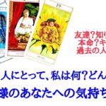 🌹恋愛タロット占い🌹ピリ辛あります‼️今のあの人にとって私は何？どんな存在なの？お相手様の恋愛モチベーション あなたへの気持ちと本音etc..
