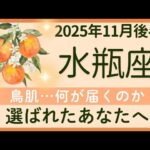 【水瓶座】11月後半★三連続…不思議…数字との出会い。贈り物を受け取るチャンス。大切なメッセージを見つける  ★オラクルカードリーディング 2025