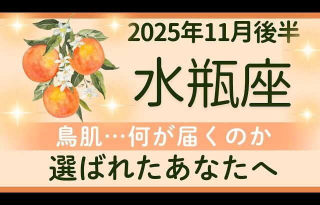 【水瓶座】11月後半★三連続…不思議…数字との出会い。贈り物を受け取るチャンス。大切なメッセージを見つける  ★オラクルカードリーディング 2025