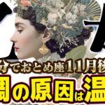 【15分でわかる！おとめ座11月後半】自己犠牲ループを断ち切り、新しい自分へ【癒しの眠れる占い】