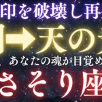♏️さそり座※緊急連絡‼️封印が解け“再生の光”があなたを照らす。｜あなたの新月が人生を書き換える日🌚【12星座占い】  【2025年運勢】 #蠍座  #金運  #占星術 #開運